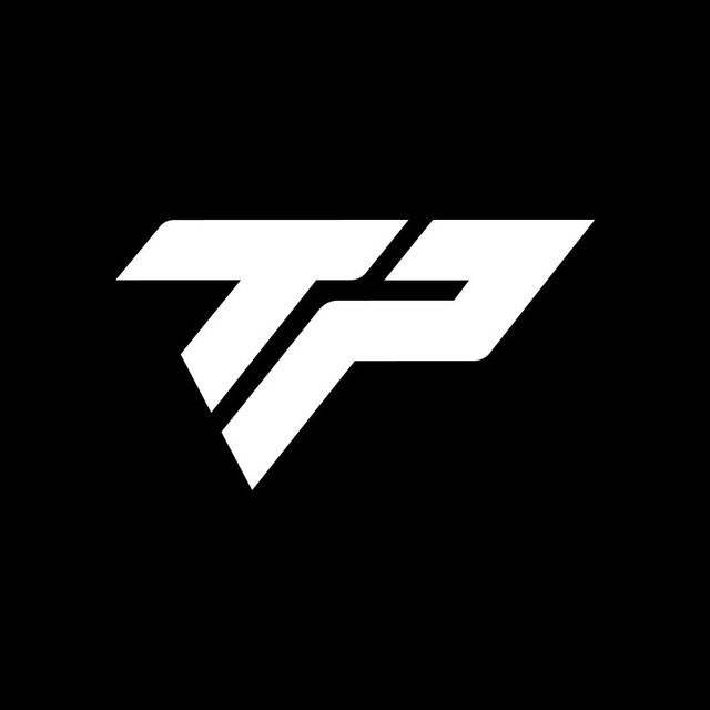 The Professional logo